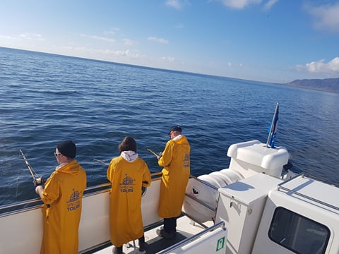 Sea Angling, photo 13