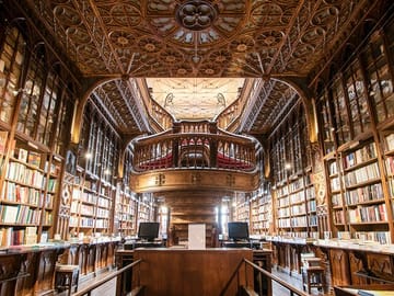 Private Full-Day Cultural Tour of Porto with Photoshoot