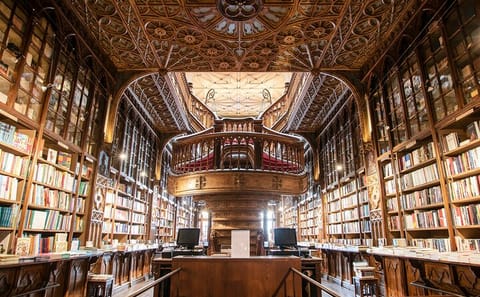 Private Full-Day Cultural Tour of Porto with Photoshoot