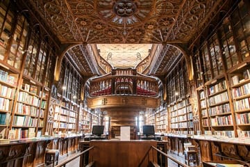 Private Full-Day Cultural Tour of Porto with Photoshoot