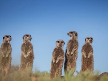 12-Day Cape Town, Kruger Park and Garden Route Tour
