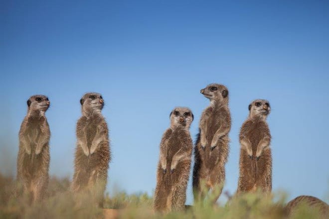Cape Town, Kruger and Garden Route, Self-Drive 4