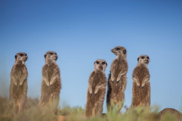 Cape Town, Kruger and Garden Route, Self-Drive 4