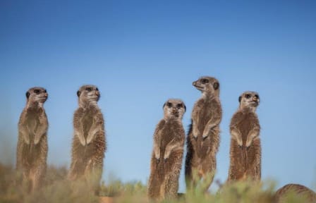 12-Day Cape Town, Kruger Park and Garden Route Tour