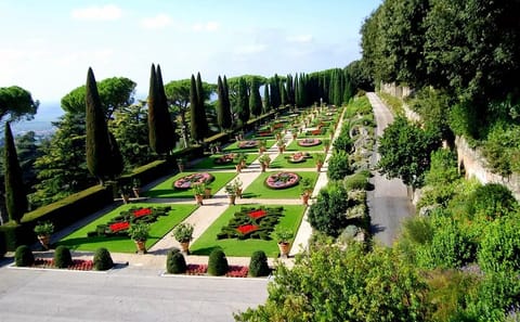 Guided Walking Tour of St. Peter's Basilica and Grottoes
