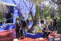 Visit Majorelle Gardens, Museum and Ramparts 3