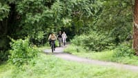 Angkor Jungle Biking Adventure Private Cycling Tour 2