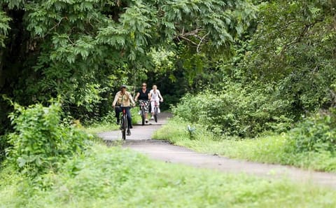 Private Cycling Tour of Angkor Wat and Ta Prohm in Siem Reap
