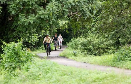 Private Cycling Tour of Angkor Wat and Ta Prohm in Siem Reap