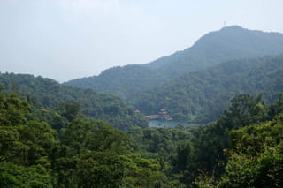 Private Day tour to Mt Dinghu and Seven Star Crags from Guangzhou