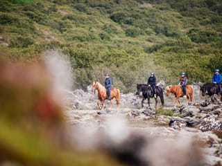 Lava Tour - Horseback Riding through the Lava Fields, photo 22