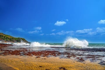 Architectural Wonder of India with Goa Beach