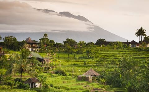 Explore Tirta Gangga, Taman Ujung, and Cepung Waterfall in Bali