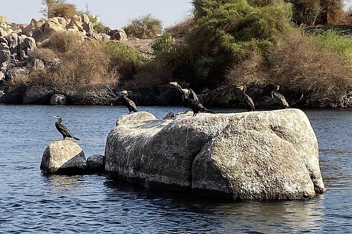 nile river in Aswan