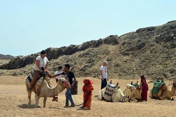 ATV and Camel Safari with BBQ Dinner in Hurghada