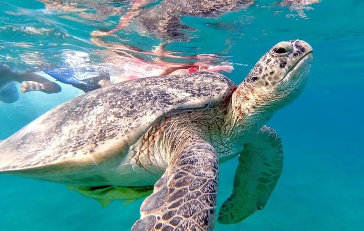 Abu Dabab Full-Day Private Experience with tickets from Hurghada