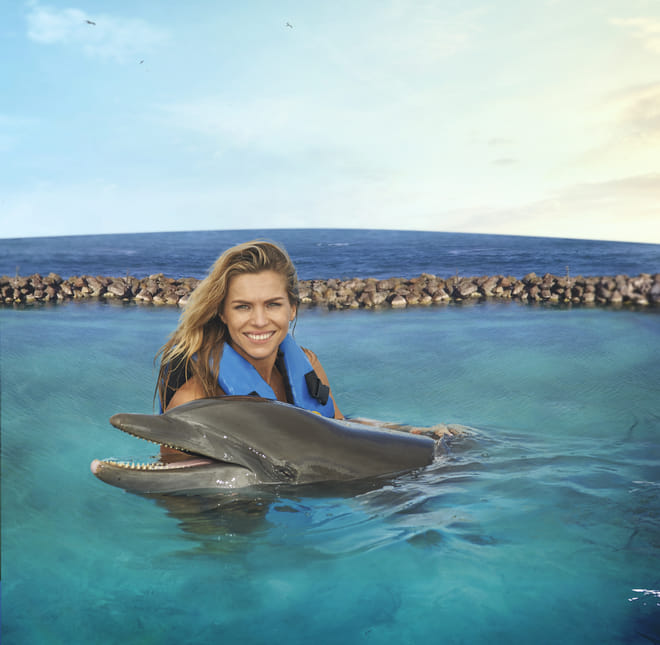 Dolphin Encounter in Dolphin Cove Ocho Rios  2