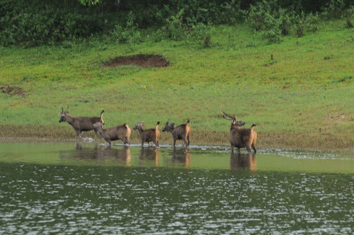 Backwaters & Beyond: Exploring South India’s Temples