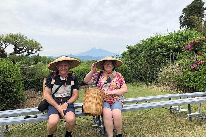 Private Sightseeing Tour from Shimizu Port /Small Bus