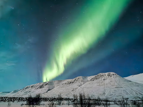Private Adventure! Arctic Odyssey: Huskies and the Aurora Borealis!, photo 5