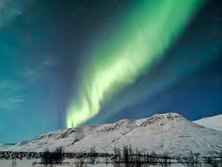 Adventure! Arctic Odyssey: Huskies and the Aurora Borealis!, photo 6
