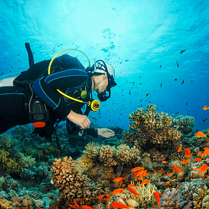 PADI Rescue Diver Course  (Including efr)