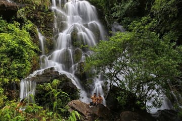 Guided Tour of Botanic Garden, Paradise Cave and Dark Cave in Vietnam