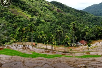 Heeloya Village Tour from Kandy