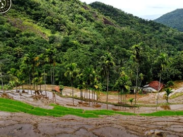 Heeloya Village Cultural Experience Tour from Kandy