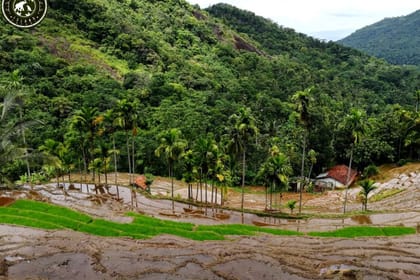 Heeloya Village Tour from Kandy