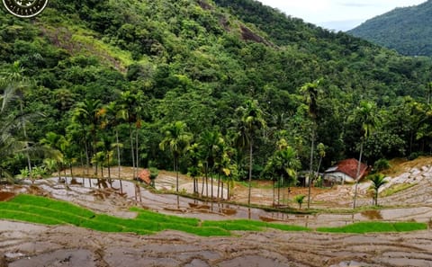 Heeloya Village Cultural Experience Tour from Kandy