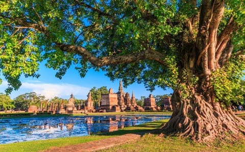 Private Five-Day Cultural Tour of Bangkok and Ayutthaya