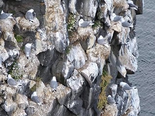 Snæfellsnes Peninsula Private Guided Tour, photo 7