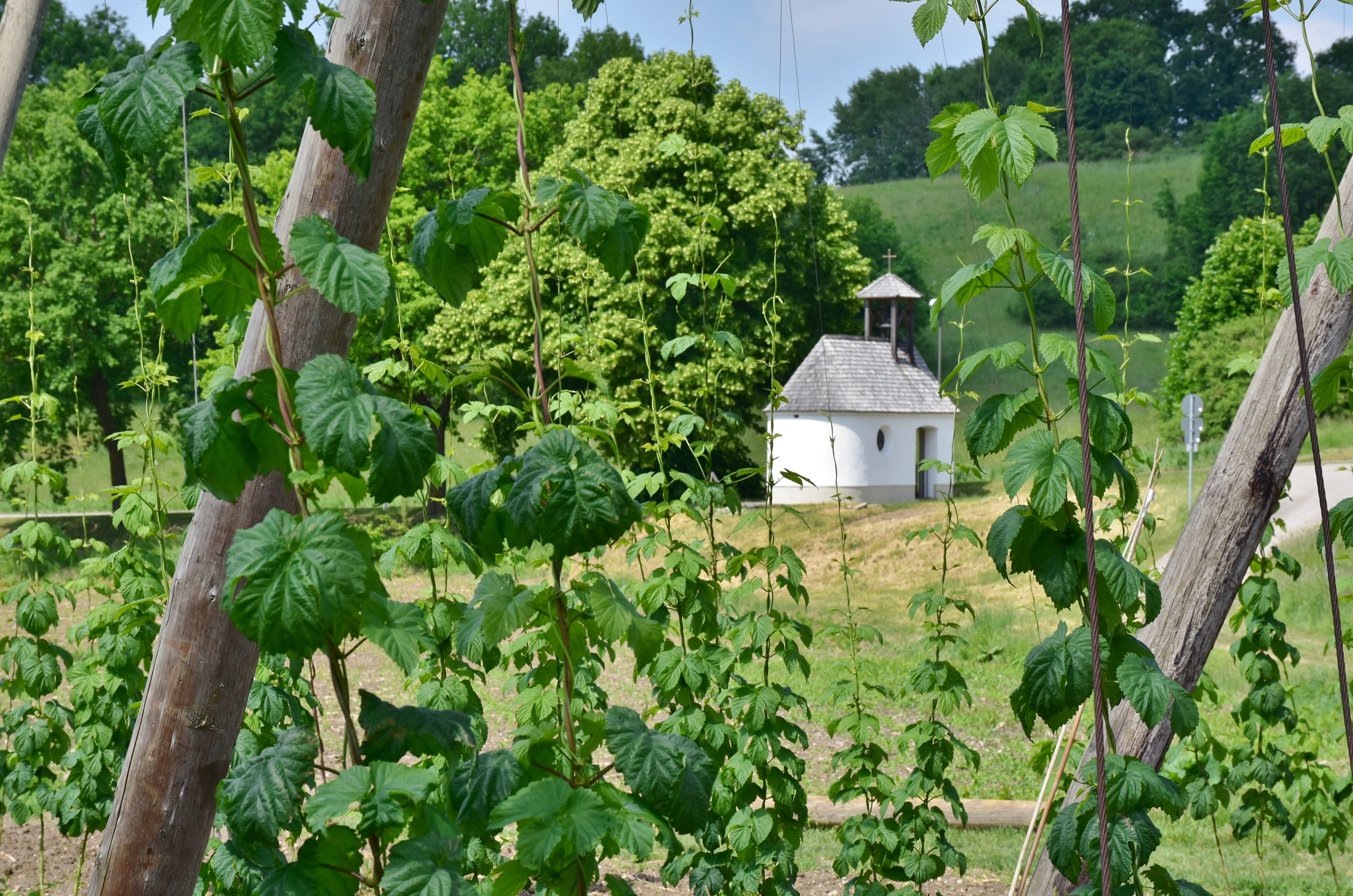 Chapel next to Hopfengarten