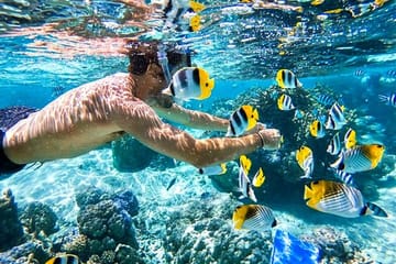 Snorkeling Day Trip to Hamata Island from Marsa Alam