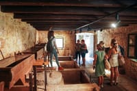 Private - Krka Waterfalls Tour (optional: Wine Tasting) 9