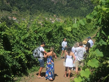 Half-Day Jeep Wine Tour and Sea Cliff Adventure in Funchal