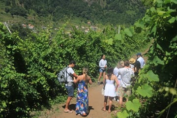 Half-Day Jeep Wine Tour and Sea Cliff Adventure in Funchal