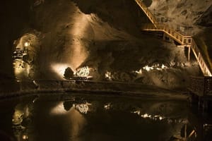 From Krakow: Auschwitz-Birkenau and Salt Mine with Private Transfer