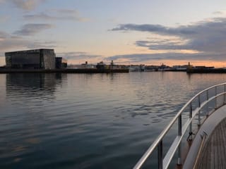 Harbor Cruise with Three Course Dinner from Reykjavik, photo 18