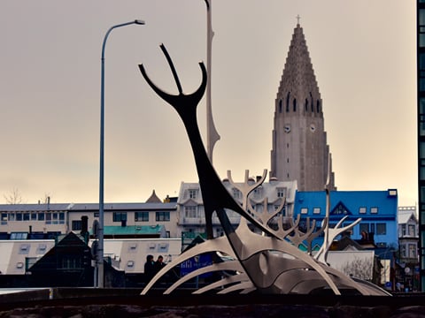 Reykjavík Premium Whale Watching, photo 27