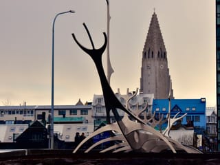 Reykjavík Premium Whale Watching, photo 27