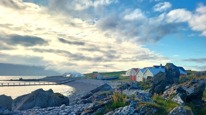 Official Vigur Island Tour (with return boat transfer from Ísafjörður)
