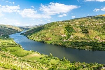 Boat Trip to Régua Through the Douro Valley with Breakfast and Lunch