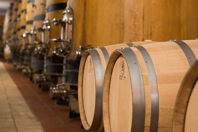 Wine Tour and Tasting on Garda Hills photo 5