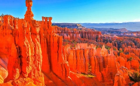 Small Group Tour of Bryce Canyon National Park