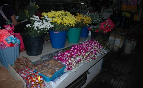 Morning Almsgiving Experience with Monks in Chiang Rai