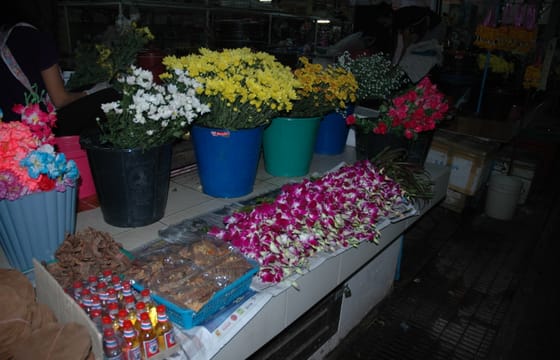 Monks Morning Almsgiving Tour (Food Offering)