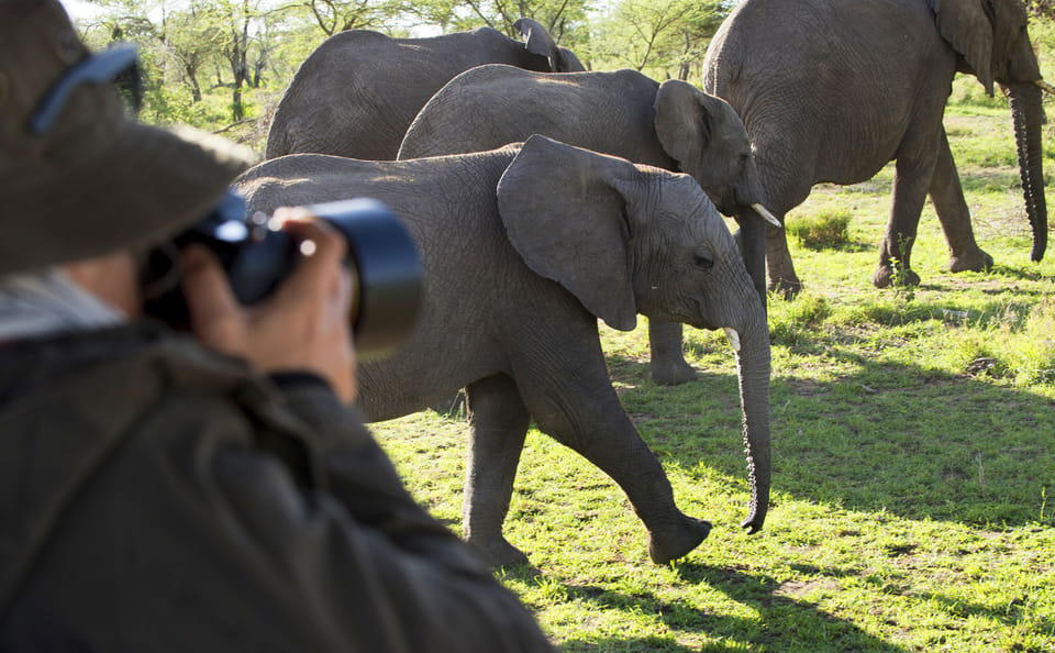 4 Day Tanzania Classic Safari – Tarangire, Serengeti & Ngorongoro crater