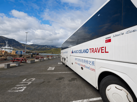 Golden Circle & Meet the Icelandic Horses | English Guide + Selected German Departures, photo 2